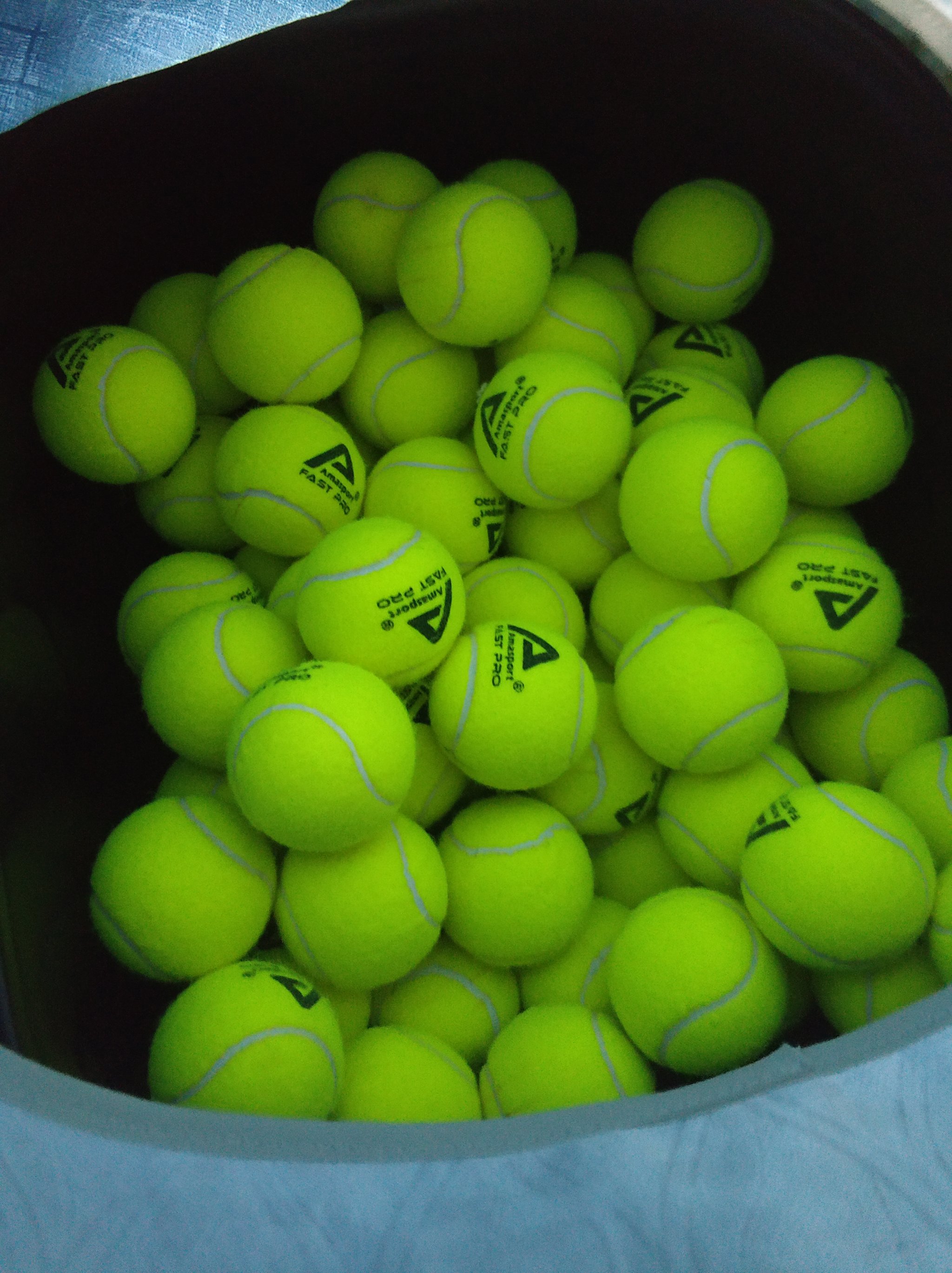 C羅入選葡萄牙國家隊名單 將出戰2024歐預賽！.