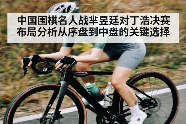 中国围棋名人战芈昱廷对丁浩决赛布局分析从序盘到中盘的关键选择